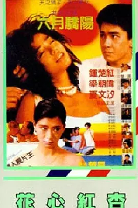 国产mcu精品91