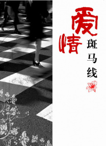 91视频专区